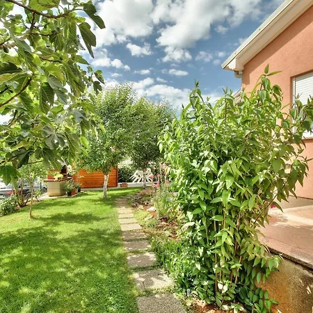 Begovic Apartamento *